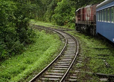 Linda foto que mostra a estrada e o trem de ferro que faz a viagem Curitiba Paranagua.