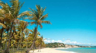 Foto da praia de trancoso com coqueiros, ceu e mar azul