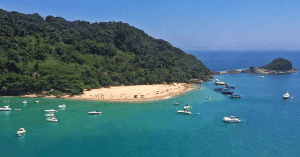 Vista aérea da Ilha de Prumirim (Ubatuba) com várias lanchas na orla e montanha com arvores nativas no litoral norte de SP