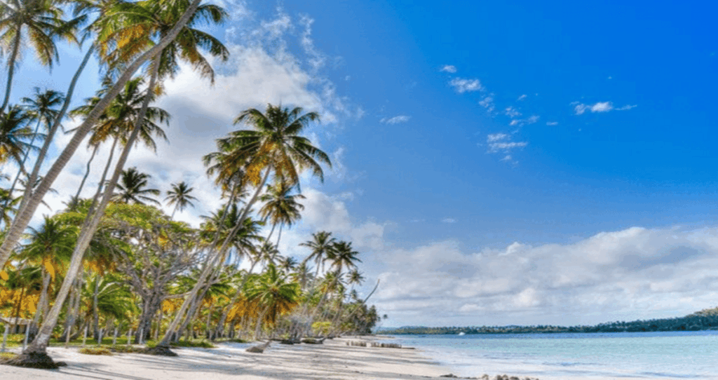 Praia dos Carneiros com faixa de areia clara, coqueiros altos inclinados em direção ao mar azul-turquesa e céu ensolarado com nuvens leves, formando um cenário tropical e paradisíaco