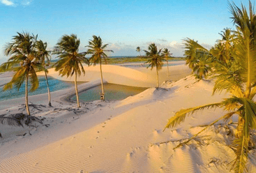 Paisagem de dunas, lagoas e coqueiros representando as belezas naturais em Viagens e Turismo no Litoral do Ceará.