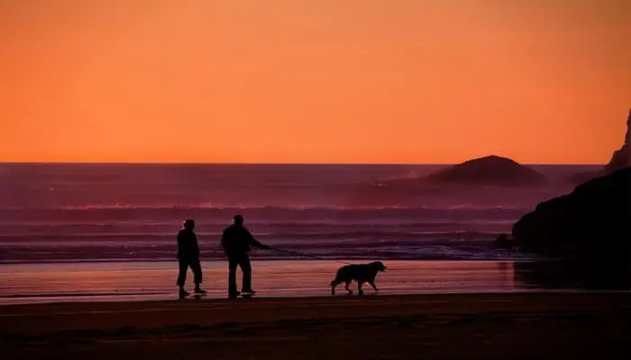 Duas pessoas caminhando com um cachorro à beira-mar durante o pôr do sol, representando um momento de tranquilidade, bem-estar e envelhecimento ativo em contato com a natureza.