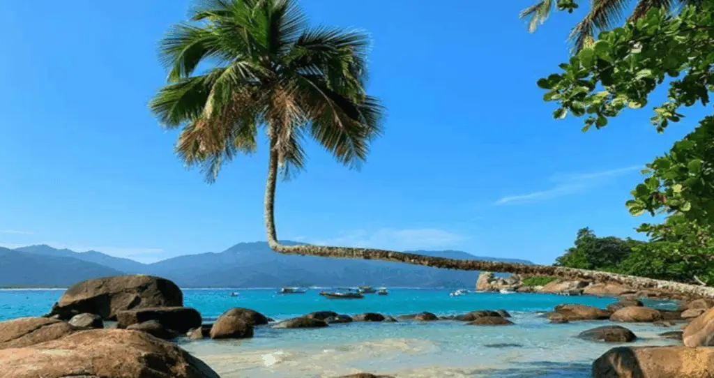 linda imagem da Praia de Lopes Mendes. Um Santuário da Ilha Grande estado do Rio de Janeiro