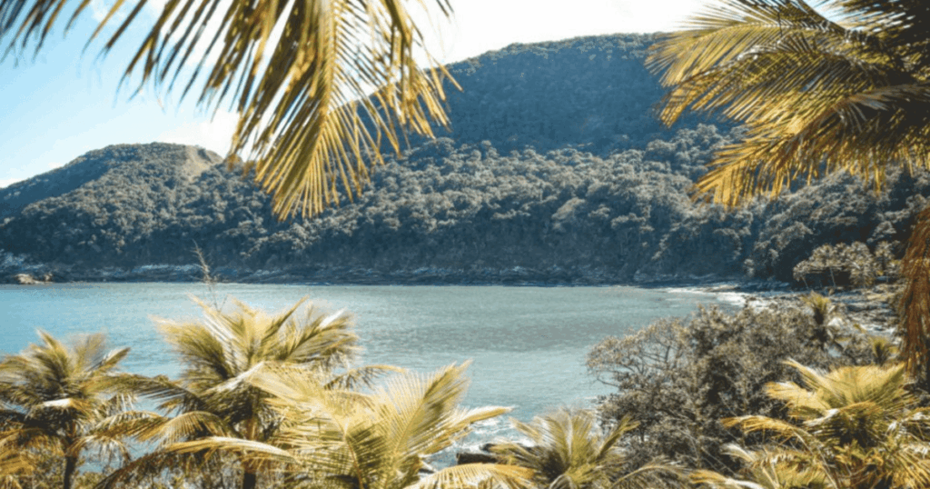 Praia da Maresias (São Sebastião), com uma onde se formando, muita área verde no litoral norte de SP