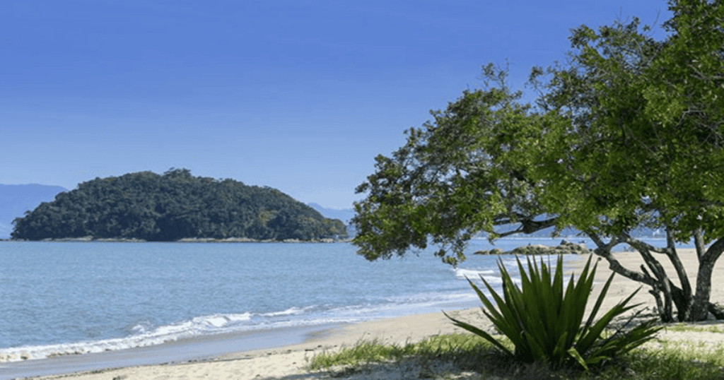 Imagem da Praia da Mococa (Caraguatatuba), o mar calmo com pequenas ondas, o morro verde ao fundo próximos à vegetação nativa, destacando o clima tranquilo e preservado do litoral norte paulista.