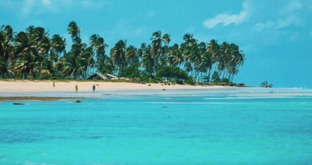 Foto da praia do Patacho em Alagoas, com o mar azul quase da cor do ceu com coqueiros na praia