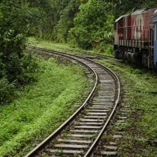 Linda foto que mostra a estrada e o trem de ferro que faz a viagem Curitiba Paranagua.