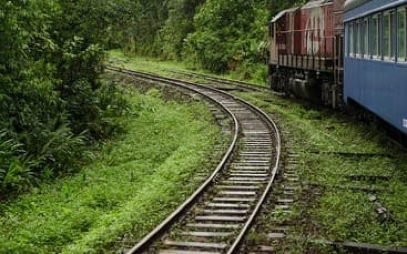 Linda foto que mostra a estrada e o trem de ferro que faz a viagem Curitiba Paranagua.