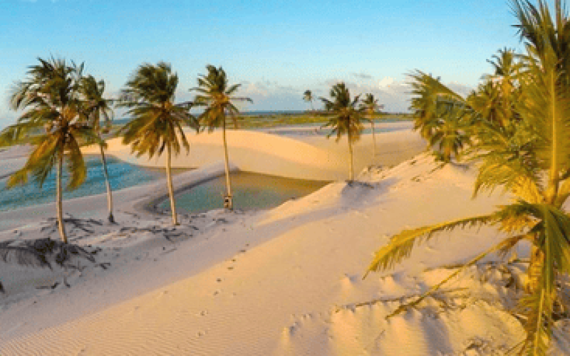 Paisagem de dunas, lagoas e coqueiros representando as belezas naturais em Viagens e Turismo no Litoral do Ceará.