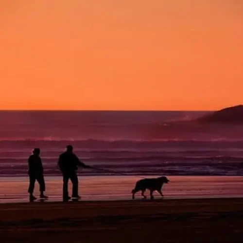 Duas pessoas caminhando com um cachorro à beira-mar durante o pôr do sol, representando um momento de tranquilidade, bem-estar e envelhecimento ativo em contato com a natureza.