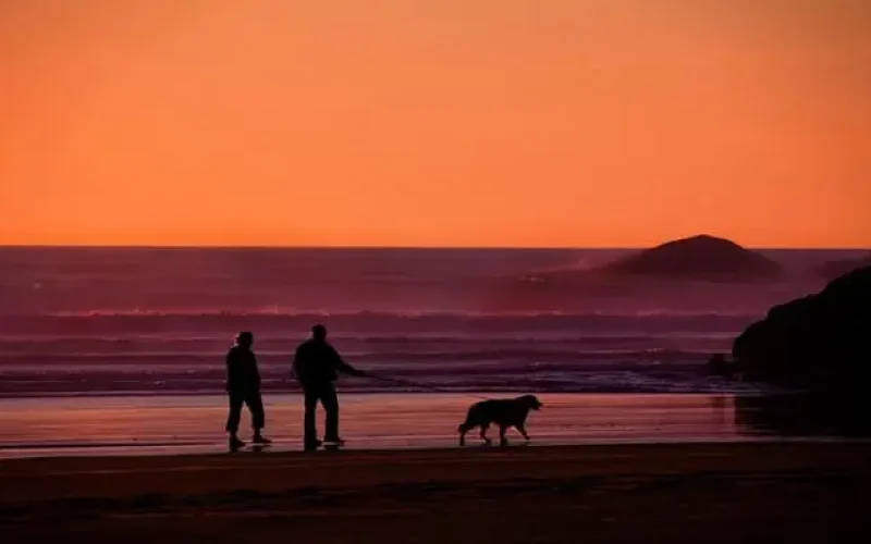 Duas pessoas caminhando com um cachorro à beira-mar durante o pôr do sol, representando um momento de tranquilidade, bem-estar e envelhecimento ativo em contato com a natureza.