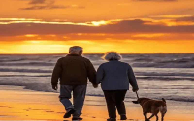 Casal de idosos caminhando de mãos dadas na praia ao pôr do sol, acompanhado de um cachorro, representando o estilo de vida de quem escolhe viver à beira-mar depois dos 50